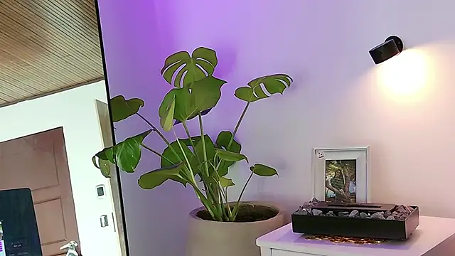 ABY509 online show from March 2026 12:44:02 AM