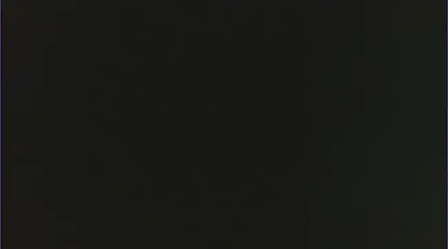 Snapshot of Geisha_Seniers chatting on February 2025 02:22:02 PM Geisha Seniers online show from February 2025 02:22:02 PM