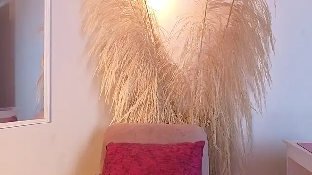 Elecktra sweet online show from April 2026 07:26:01 PM