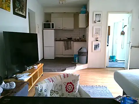 mihaimichael online show from April 2026 12:34:01 PM