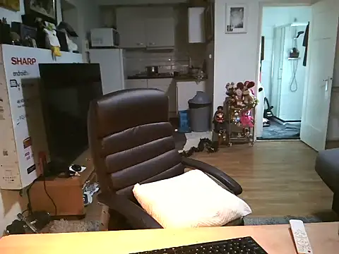 mihaimichael online show from January 2026 01:26:02 PM