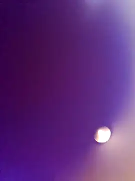 Pay2play1 online show from October 2025 02:00:02 AM