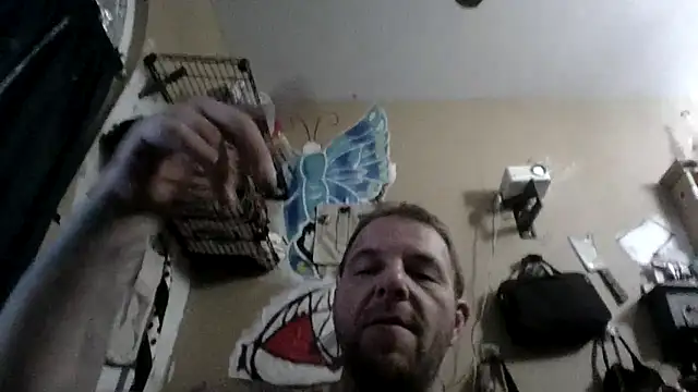 Pay2play1 online show from March 2025 06:43:01 PM