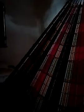 PIKAdePAU27 online show from December 2024 08:33:02 AM