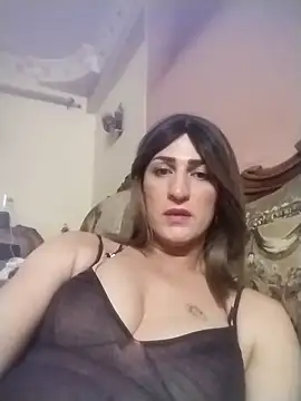 ingishemale1 online show from April 2026 04:51:01 AM