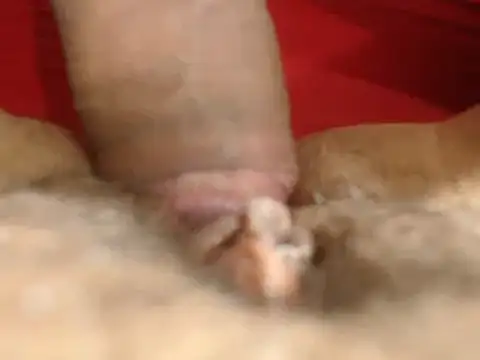 Snapshot of lolamike19 chatting on November 2025 10:29:01 AM lolamike19 online show from November 2025 10:29:01 AM