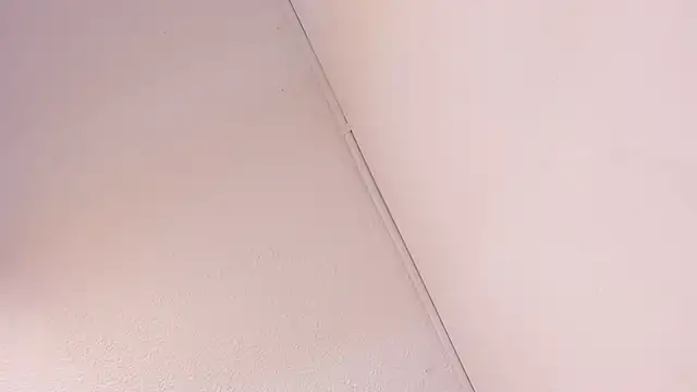 Black Rose2 online show from March 2026 11:43:01 AM