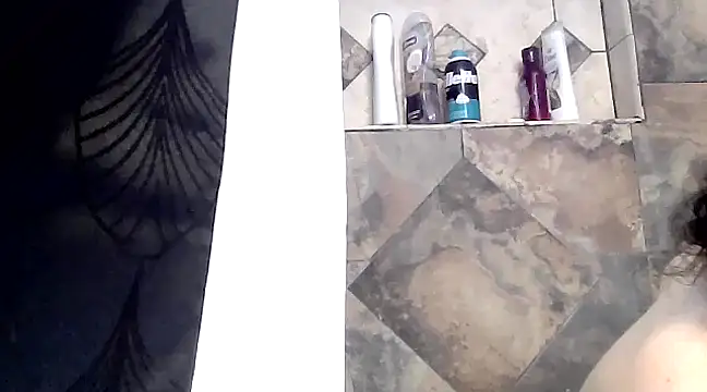 paiday online show from February 2025 07:06:02 PM