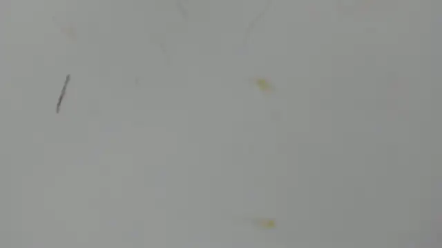 Snapshot of Antonellanospik_ chatting on March 2025 03:25:01 AM Antonellanospik online show from March 2025 03:25:01 AM