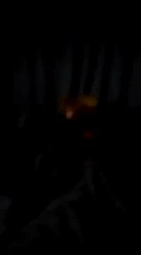 bogbosdick online show from February 2025 03:12:01 AM