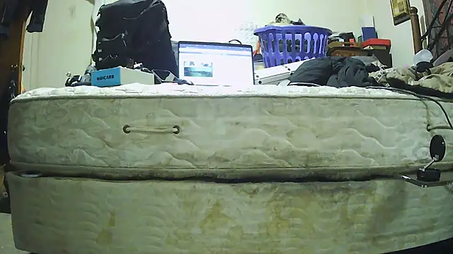 pipeload1275 online show from November 2025 05:30:01 AM