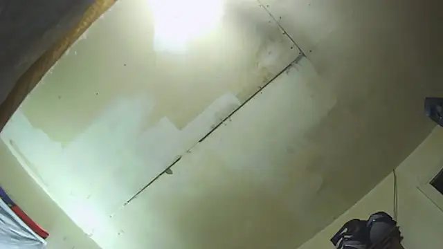 pipeload1275 online show from December 2025 01:00:01 AM