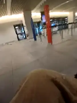 Snapshot of Denisilboss chatting on February 2026 11:11:02 AM Denisilboss online show from February 2026 11:11:02 AM