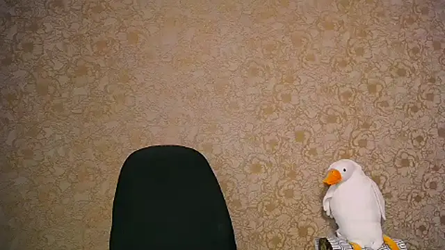 Snapshot of _your_fantasy_girl chatting on February 2025 11:28:01 AM your fantasy girl online show from February 2025 11:28:01 AM