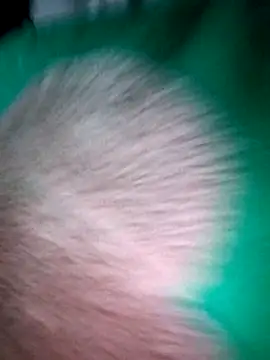 Haralushiaaa online show from December 2025 11:59:02 PM