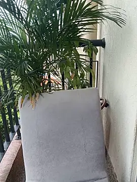 Pretty Isadora online show from March 2026 04:59:01 PM