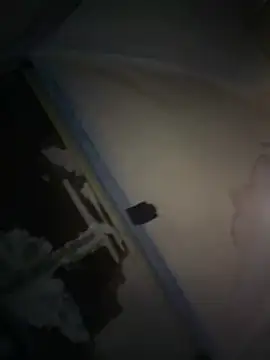 joeycbigcock online show from April 2026 01:07:02 AM