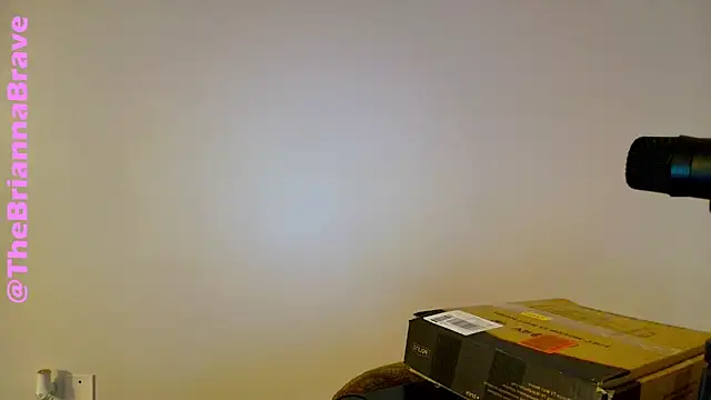 BriannaBrave online show from February 2026 07:36:01 PM