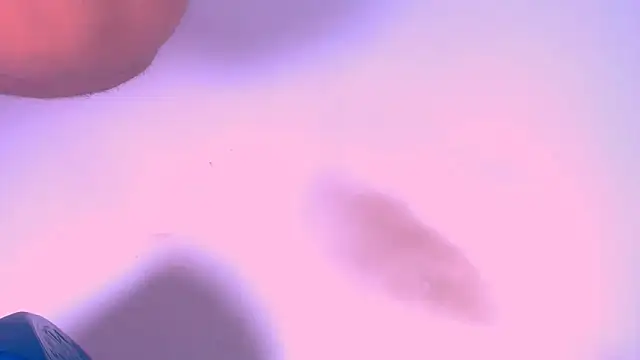 shara bigcum online show from May 2026 03:18:01 PM