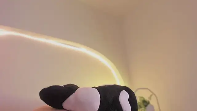 katiepeach  online show from March 2026 03:12:01 AM