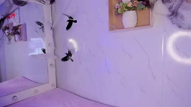 sabrinahimss online show from October 2025 04:33:01 AM