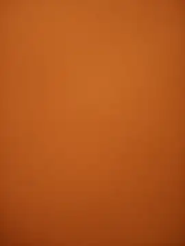 Snapshot of Chriso0007 chatting on March 2025 12:55:02 PM Chriso0007 online show from March 2025 12:55:02 PM