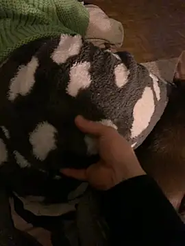 Snapshot of Natric24 chatting on February 2025 07:52:01 PM Natric24 online show from February 2025 07:52:01 PM