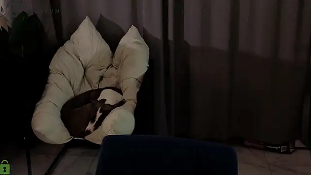 Eva Natsumi online show from January 2026 03:26:01 PM