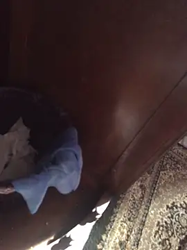 TangoingSorbet online show from November 2025 10:20:01 AM