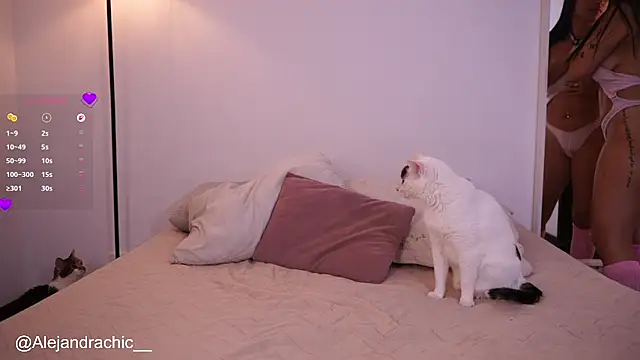 amelie leigh online show from June 2026 01:22:02 AM