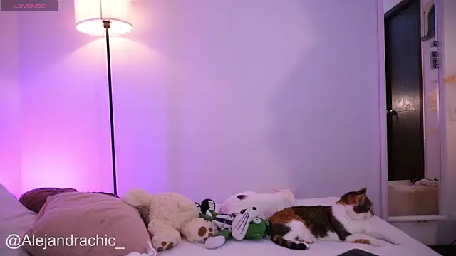 amelie leigh online show from April 2026 11:31:01 PM