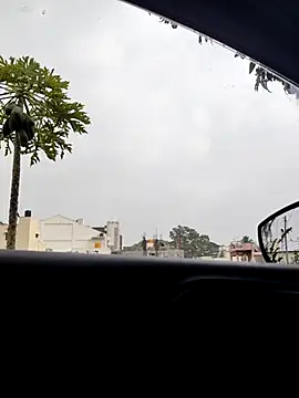 KingCobraClassy online show from January 2026 10:08:02 AM