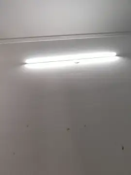 Sonam-378 online show from October 2025 09:43:02 AM