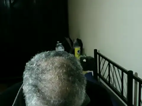 100Tauros online show from February 2026 02:39:01 PM