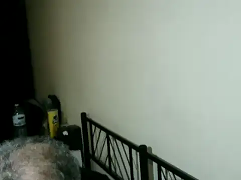 100Tauros online show from February 2026 12:44:01 AM