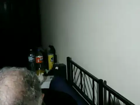 100Tauros online show from February 2026 10:38:01 PM