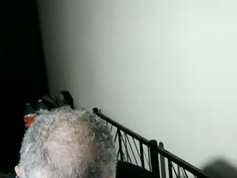 100Tauros online show from February 2026 10:53:01 PM