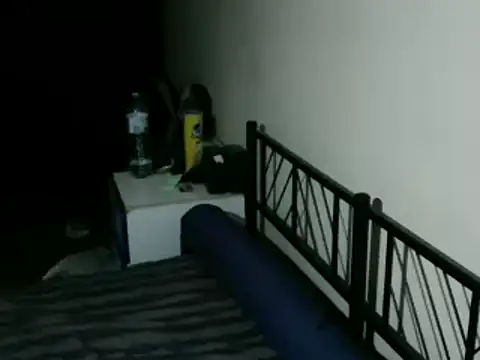 100Tauros online show from March 2026 11:38:01 AM