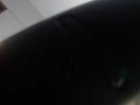 judy the booty online show from March 2025 10:36:02 PM