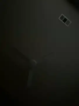 goldbuni online show from November 2025 12:42:02 PM