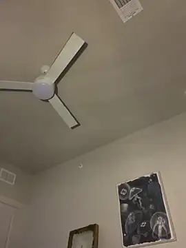 goldbuni online show from December 2025 03:54:01 AM