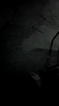 mendelicius online show from December 2025 10:29:02 AM