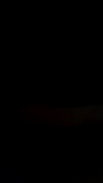 mendelicius online show from February 2026 10:37:01 AM