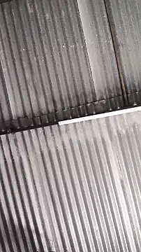 mendelicius online show from February 2026 01:22:02 PM