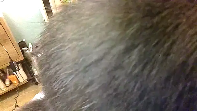 Bigloggz online show from March 2026 02:33:01 AM