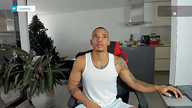 TROYWESLY- online show from January 2026 05:17:02 PM