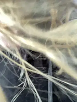 emma neko online show from April 2026 04:22:02 PM