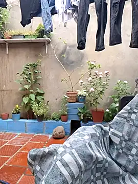 room 24funn online show from November 2025 03:23:01 PM