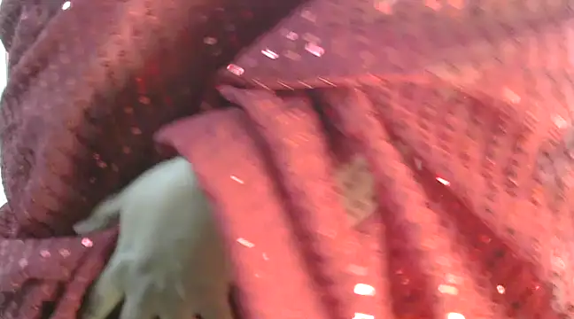 rehana88 online show from March 2025 01:14:01 AM