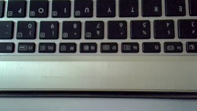 Delicious-D online show from September 2025 08:52:01 AM